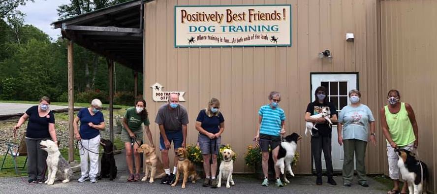Maine dog training
