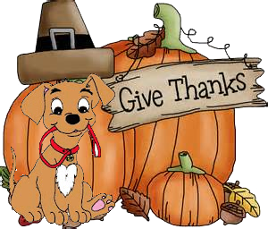 dog wearing traditional pilgrim hat in front of pumpkins